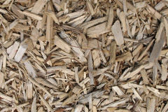 biomass boilers Twycross