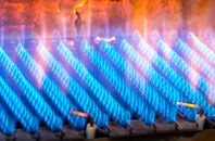 Twycross gas fired boilers
